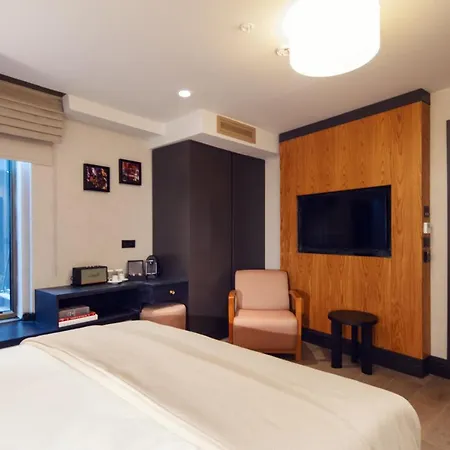 Root Karakoey Bosphorus 酒店 伊斯坦布尔