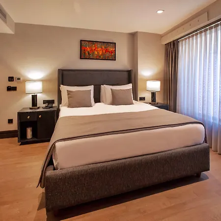 Root Karakoey Bosphorus Hotel Istambul