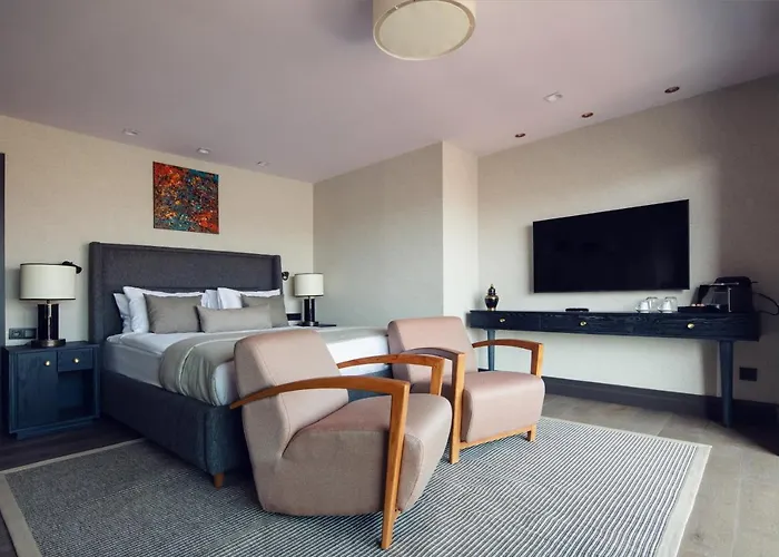 Root Karakoey Bosphorus Istanbul