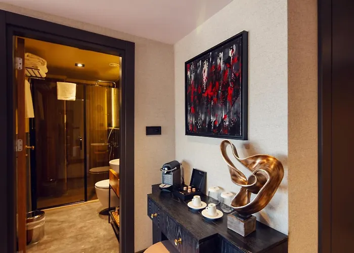 Root Karakoey Bosphorus 4* Istanbul