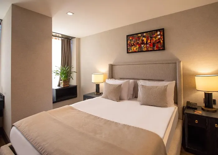 Root Karakoey Bosphorus Hotell Istanbul