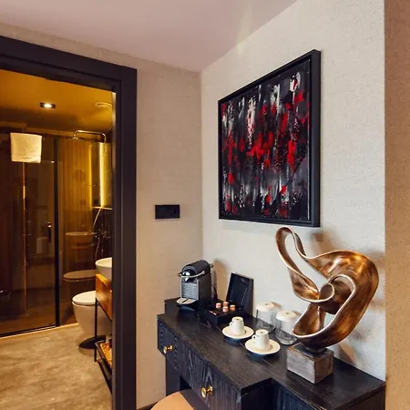 Root Karakoey Bosphorus 4* اسطنبول